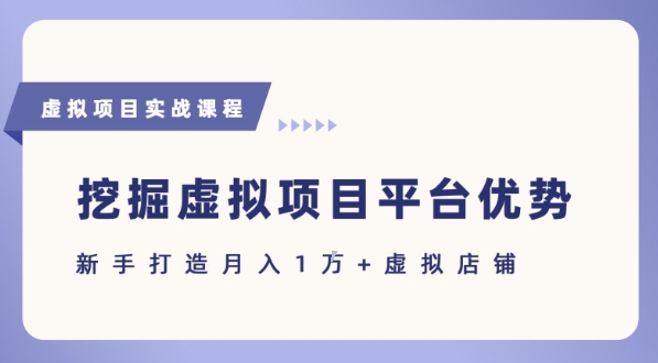 抓住虚拟项目各平台优势，新手轻松月入1W+(给出具体建议)-3YVIP资源库
