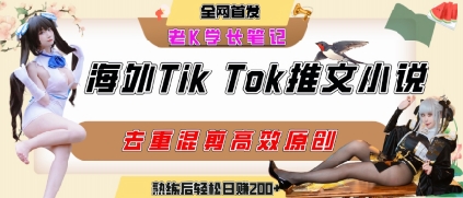 海外tiktok小说推文暴力项目，高停留率，高转化率，上手后一天搞顿饭钱不是问题-3YVIP资源库