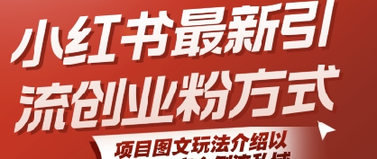 小红书最新引流创业粉方式，项目图文玩法介绍以及如何安全倒流私域-3YVIP资源库