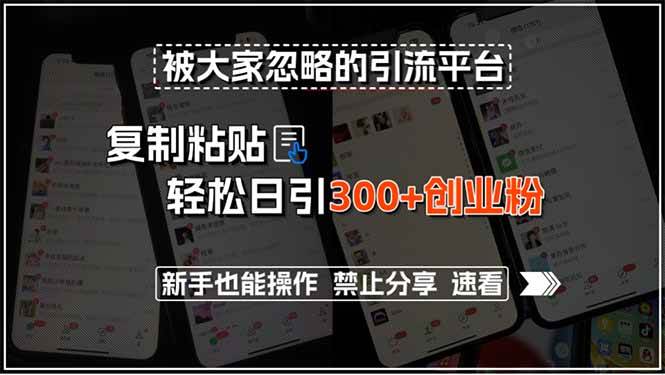 （15428期）被大家忽略的引流平台，复制粘贴轻松日引300+创业粉，新手也能操作，禁…-3YVIP资源库