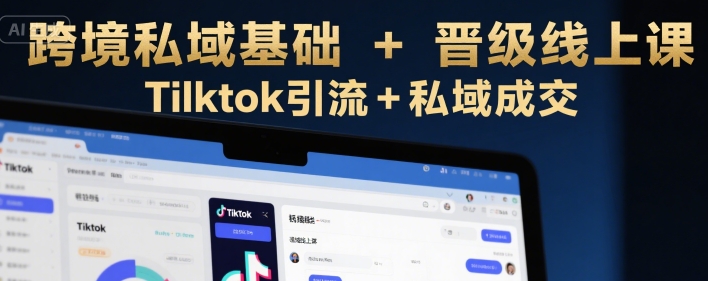 跨境私域基础+晋级线上课，Tilktok引流+私域成交-3YVIP资源库