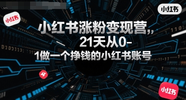 小红书涨粉变现营，21天从0-1做一个挣钱的小红书账号-3YVIP资源库