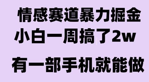 情感暴力掘金项目，新人操作一周挣了2W，长期稳定小白可做【揭秘】-3YVIP资源库