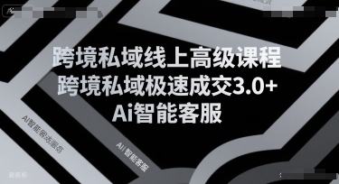 跨境私域线上高级课程，跨境私域极速成交3.0+Ai智能客服-3YVIP资源库