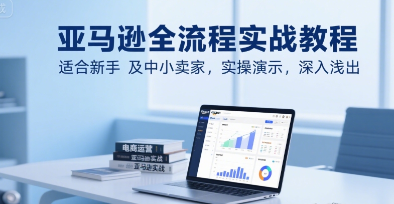 亚马逊全流程实战教程，适合新手及中小卖家，实操演示，深入浅出-3YVIP资源库