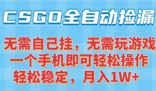 CSGO自动捡漏项目，最新独家玩法，一个手机可操作，新手小白轻松月入1W+，操作简单易上手【揭秘】-3YVIP资源库
