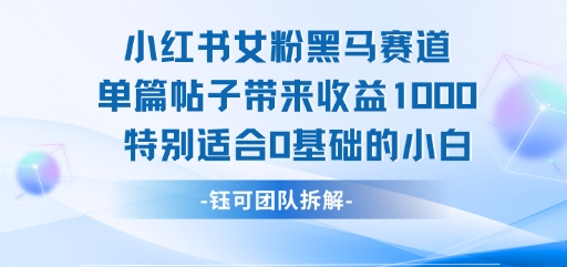 小红书女粉黑马赛道单篇帖子带来收益1k+，特别适合0基础的小白-3YVIP资源库