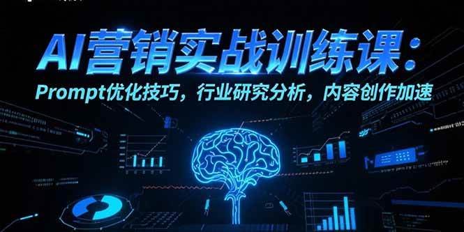 （15465期）AI营销实战训练课：Prompt优化技巧，行业研究分析，内容创作加速-3YVIP资源库