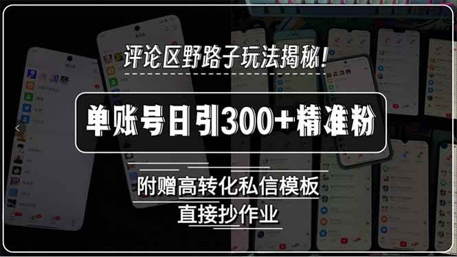 （15466期）评论区野路子玩法揭秘！单账号日引300+精准粉，附赠高转化私信模板，直…-3YVIP资源库