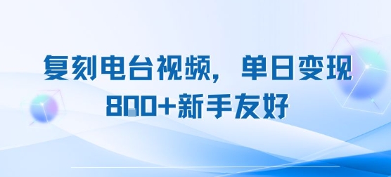 复刻电台视频，单日变现8张+新手友好，长期可做-3YVIP资源库