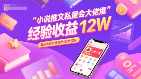 小说推文私董会大佬爆单经验分享收益12W，番茄小说每天稳定4位数收益-3YVIP资源库
