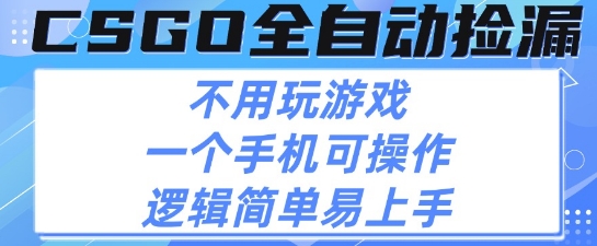 CSGO自动捡漏项目，最新独家玩法，不用挂G不用玩游戏，一个手机即可操作，新手小白轻松月入1W+【揭秘】-3YVIP资源库