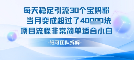 每天稳定引流30个人 当月变成超过了4个W项目流程非常简单适合小白-3YVIP资源库