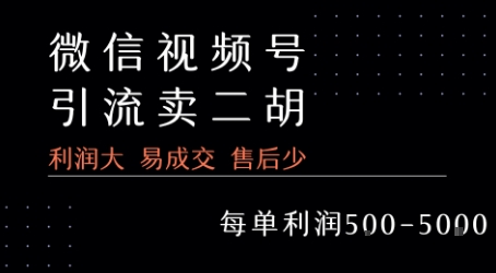 视频号卖二胡教程，利润大 易成交 售后少，一单利润5张+-3YVIP资源库
