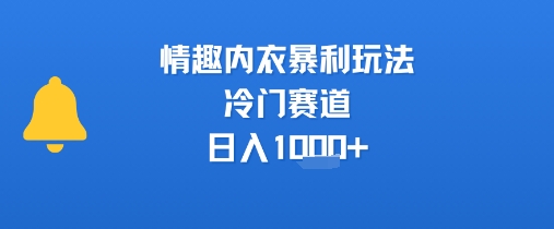 情趣内衣暴利玩法，冷门赛道，日入1k+-3YVIP资源库