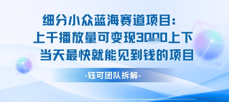小众蓝海赛道项目：当天变现1k+适合新手操作 +适合长期玩-3YVIP资源库