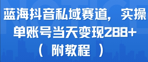 蓝海抖音私域赛道，实操单账号当天变现288+(附教程)-3YVIP资源库