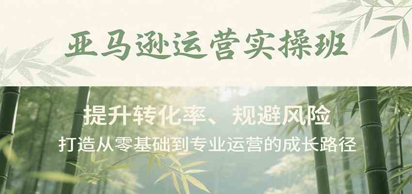 亚马逊运营实操班，提升转化率、规避风险，打造从零基础到专业运营的成长路径-3YVIP资源库