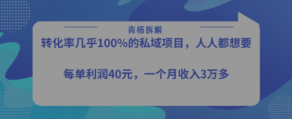转化率最高的私域项目，每单利润40-50米，月入过1w-3YVIP资源库