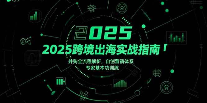 （15503期）2025跨境出海实战指南，并购全流程解析，自创营销体系，专家基本功训练-3YVIP资源库