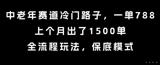 中老年赛道冷门路子，一单788，上个月出了1500单，全流程玩法，保底模式【揭秘】-3YVIP资源库