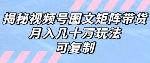 解密视频号图文矩阵带货，月入几个W的打法，可复制-3YVIP资源库