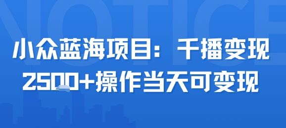 小众蓝海项目，千播变现2.5k+操作当天可变现-3YVIP资源库