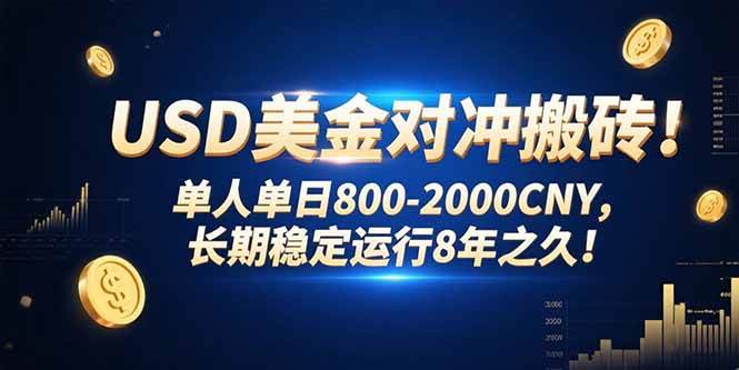 （15551期）USD美金对冲搬砖!单人单日800-2000CNY，长期稳定运行8年之久!-3YVIP资源库