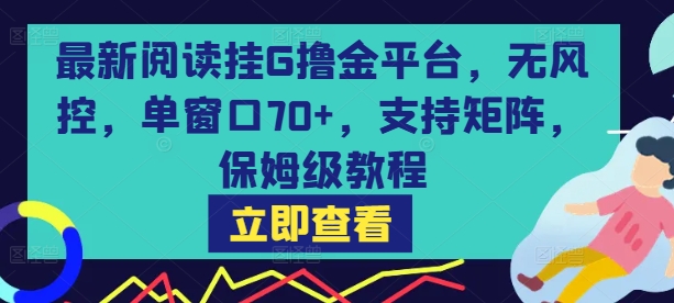 最新阅读挂G撸金平台，无风控，单窗口70+，支持矩阵，保姆级教程【揭秘】-3YVIP资源库