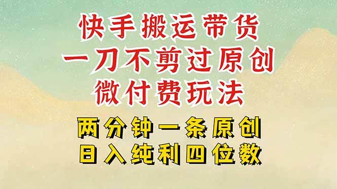 （15577期）快手黑科技搬运带货，一刀不剪过原创，微付费投流玩法，轻松日入四位数…-3YVIP资源库