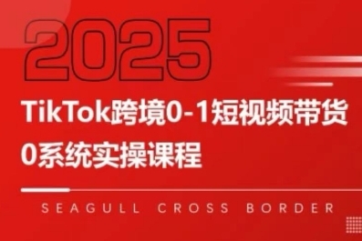 TikTok跨境0-1短视频带货，系统拆解TikTok跨境带货全链路，实现跨境可持续盈利-3YVIP资源库