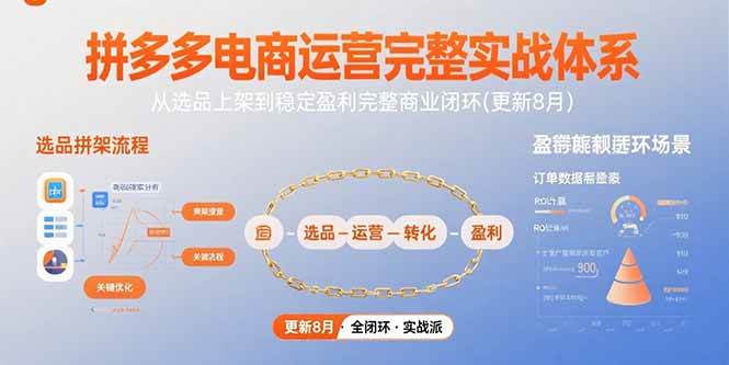 （15579期）拼多多电商运营完整实战体系，从选品上架到稳定盈利完整商业闭环(更新8月)-3YVIP资源库