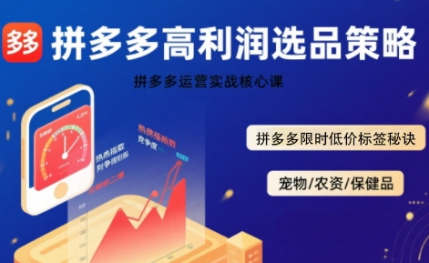 拼多多选品暴利技术实战课，拼多多高利润选品策略，拼多多限时低价标签秘诀-3YVIP资源库