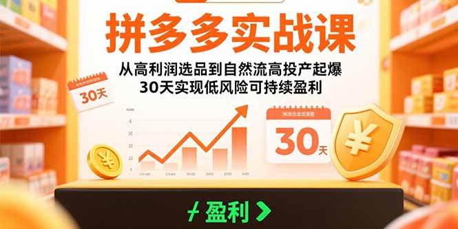 （15586期）拼多多实战课：从高利润选品到自然流高投产起爆 30天实现低风险可持续盈利-3YVIP资源库