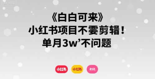 小白可来 小红书项目不需要剪辑 单月3w不是问题-3YVIP资源库