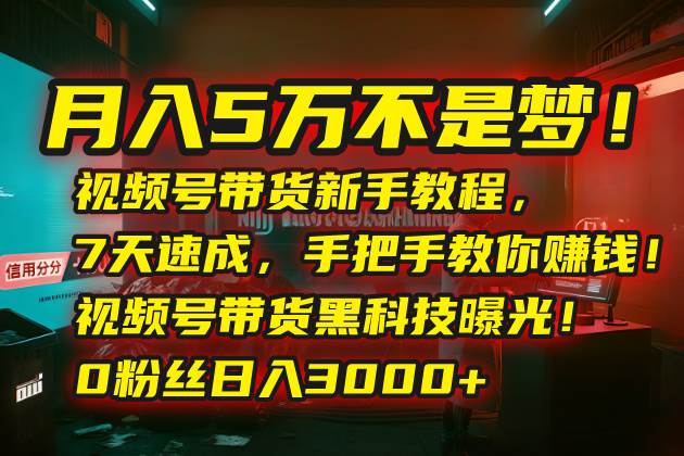（15595期）月入5万不是梦！视频号带货新手教程，7天速成，手把手教你赚钱！视频号…-3YVIP资源库