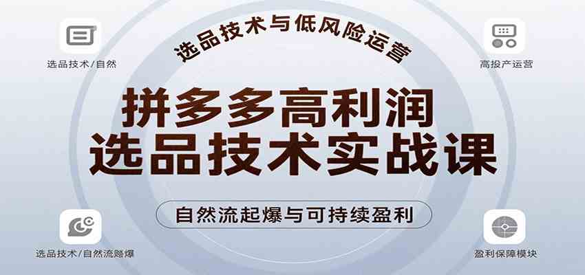 拼多多高利润选品技术实战课，手把手教学自然流高投产起爆，实现低风险可持续盈利-3YVIP资源库