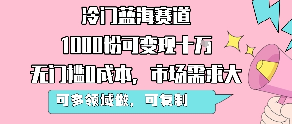 冷门蓝海赛道，1000粉可变现十W，无门槛0成本，市场需求大，可多领域做，可复制性强-3YVIP资源库