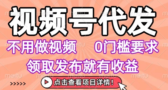 视频号代发，不用剪辑不用做视频，0门槛要求，领取发布就有收益，任务没有无上限，小白轻松上手【揭秘】-3YVIP资源库