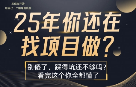25年，你还在疯狂的找项目吗？别傻了，看完这个你都懂了【揭秘】-3YVIP资源库