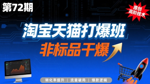 淘宝天猫打爆班原创高阶技术第72期，非标品干爆-3YVIP资源库