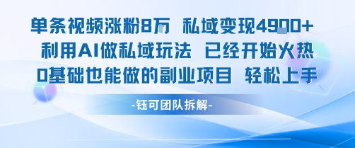 单条视频私域变现4.9k+利用AI做私域玩法 已经开始火热0基础也能做的副业项目轻松上手-3YVIP资源库