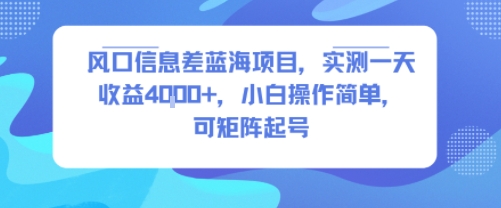 风口信息差蓝海项目，实测一天收益4k+，小白操作简单，可矩阵起号-3YVIP资源库
