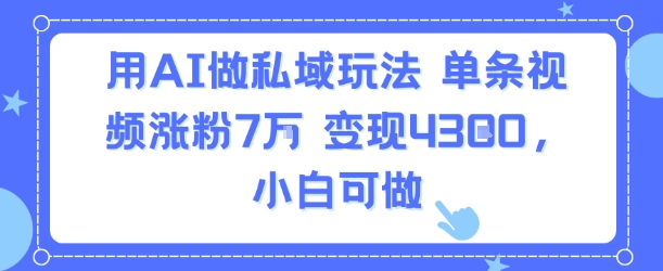 用AI做私域玩法，单条视频涨粉7W变现4.3k，小白可做-3YVIP资源库