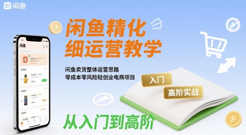闲鱼精细化运营入门+高阶实战教学，闲鱼卖货整体运营思路，零成本零风险轻创业电商项目-3YVIP资源库