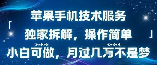 苹果手机技术服务，独家拆解，操作简单，小白可做，月过1W不是梦-3YVIP资源库