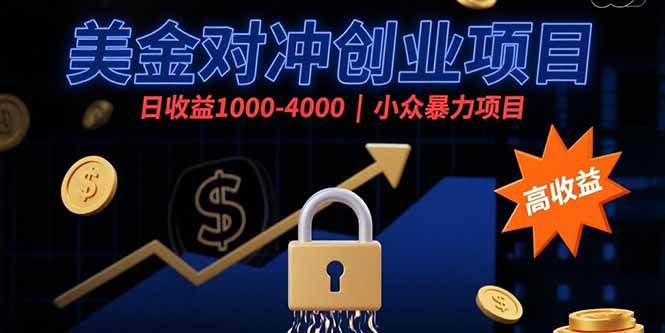 （15642期）美金对冲创业项目，日收益1000-4000，小众暴力项目-3YVIP资源库