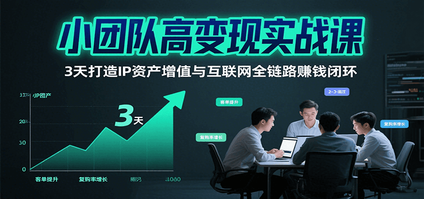 小团队高变现实战课，3天打造IP资产增值与互联网全链路赚钱闭环（第二期）-3YVIP资源库