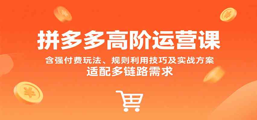 拼多多高阶运营课，含强付费玩法、规则利用技巧及实战方案，适配多链路需求-3YVIP资源库
