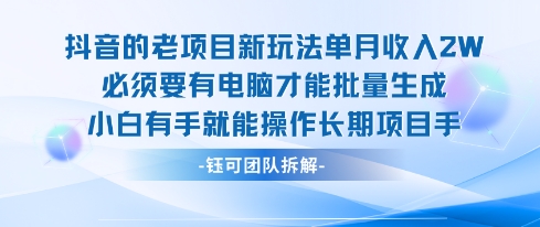 老项目新玩法单月收入2W小白有手就能操作长期项目-3YVIP资源库